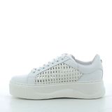 Scarpe Cult donna 337102P24 WHITE